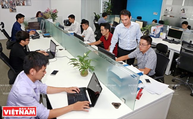 Nguyễn Khoa Bảo làm việc cùng đồng nghiệp tại văn phòng FSI