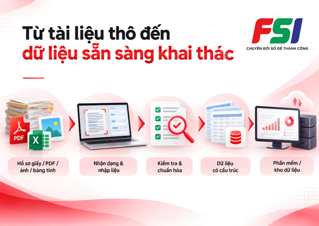 Dịch vụ nhập liệu trọn gói FSI